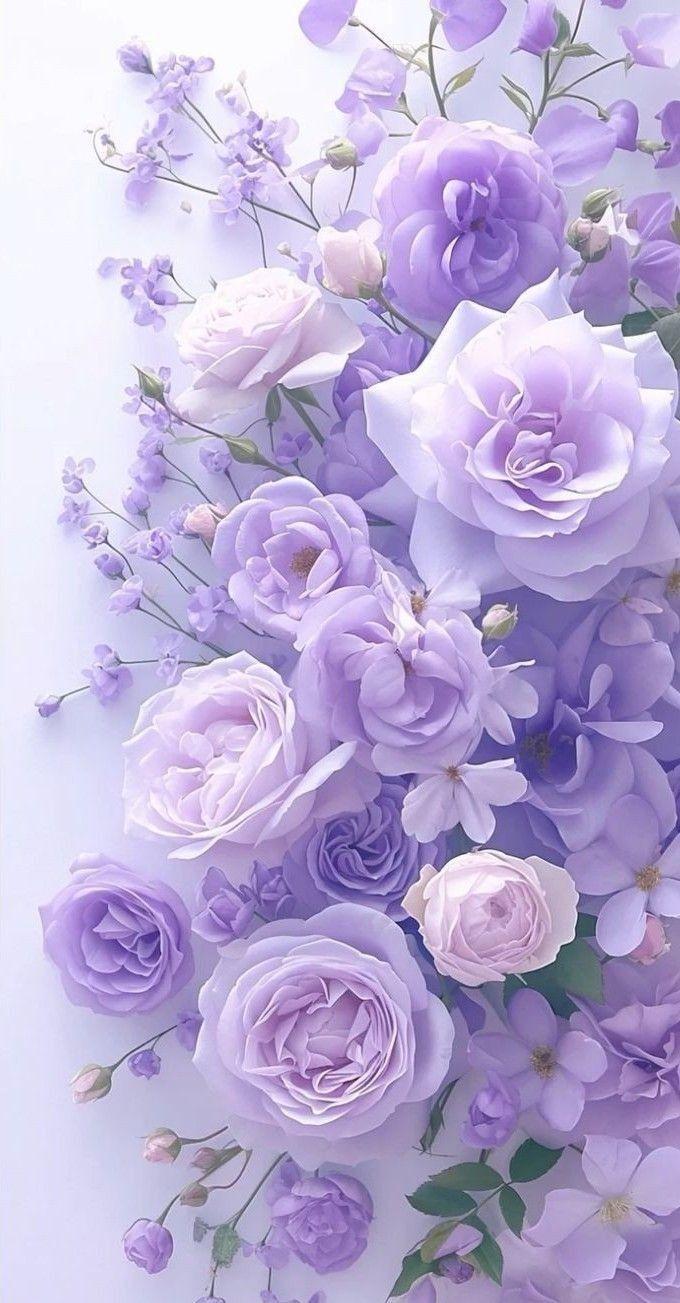 Eternal Sunset's Vibrant Floral Symphony
