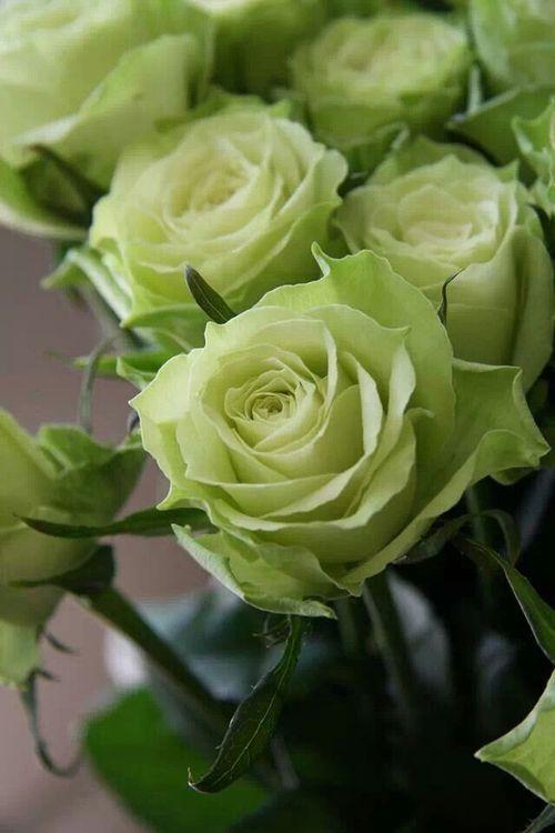 Whisper of Meadow Harmony Bouquet